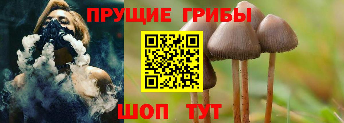 наркошоп  Псилоцибиновые грибы MAGIC MUSHROOMS  Вход с VPN  Галлюциногенные грибы Psilocybine cubensis  Алексин 